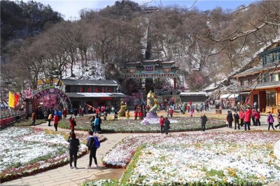 欒川縣踏青賞花游持續(xù)火爆 清明假期共計(jì)接待游客15.8萬(wàn)人次