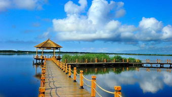 黑龍江興凱湖來漢推介避暑游 不一樣的江湖 引贊嘆