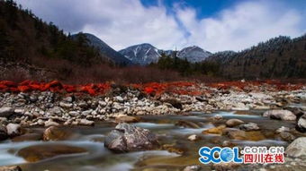 5.19中國(guó)旅游日海螺溝景區(qū)免票 走起來(lái)吧