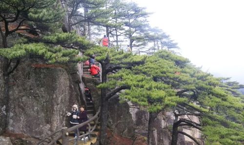 清明小長(zhǎng)假第三天 黃山風(fēng)景區(qū)優(yōu)化管理措施 游覽秩序井然