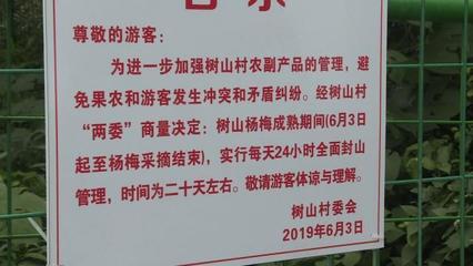 再過5天,樹山楊梅上市!果實很誘人,但請不要隨意采摘哦