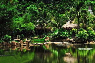 在溫暖保亭遇見那香山，探索大三亞旅游經濟圈的景區管理之道