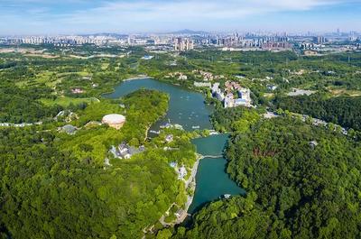 草地露營、國潮音樂節(jié)、少兒音樂匯 南京珍珠泉度假區(qū)假期精彩紛呈，盡顯卓越園區(qū)管理服務